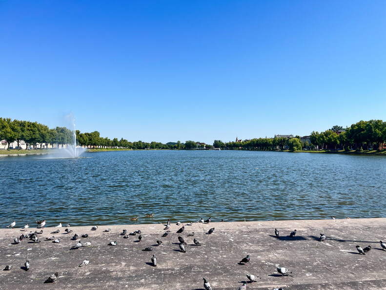 24-06-26 10-04-05 9907